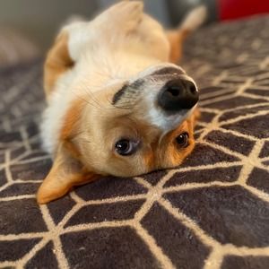 Meet your Posher, Mark